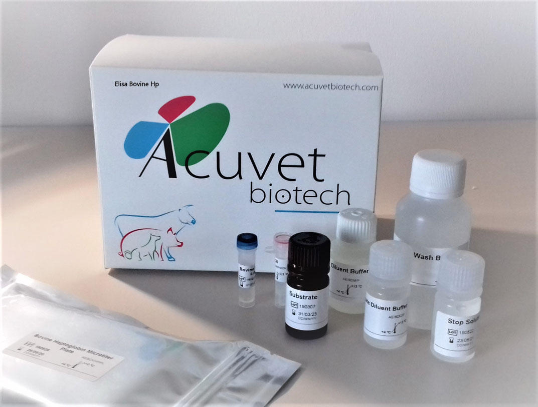 ACUVET ELISA bovine HP