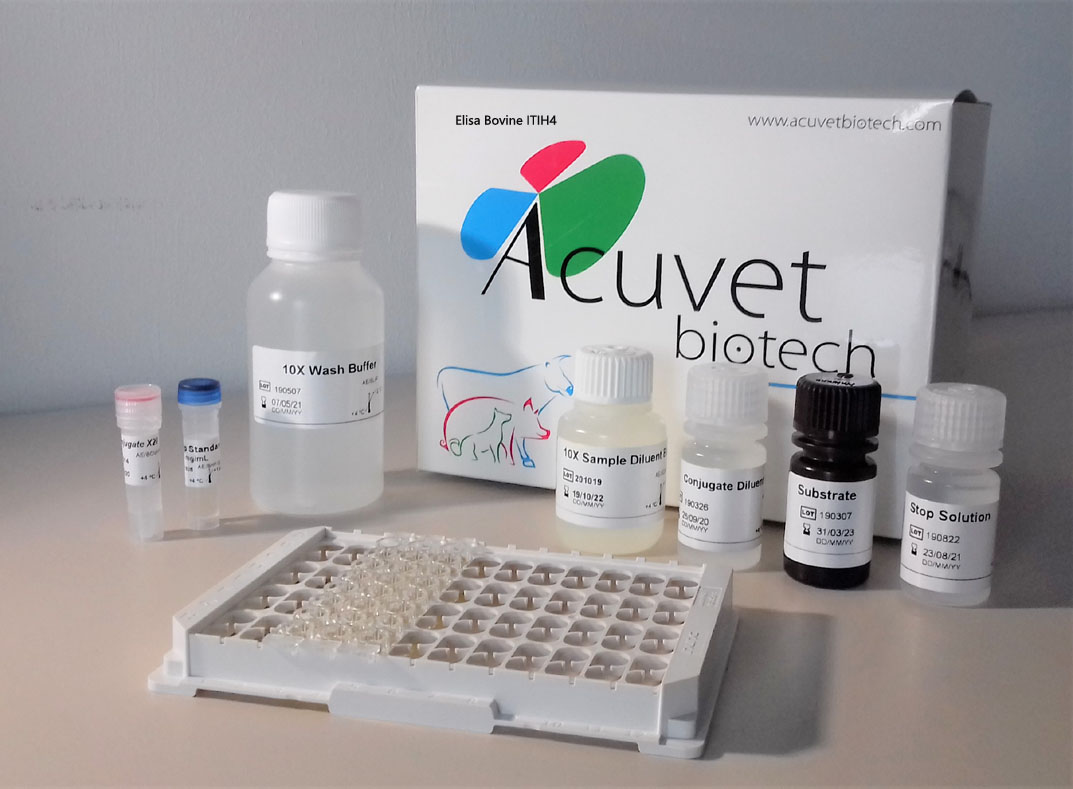 ACUVET ELISA bovine ITIH4