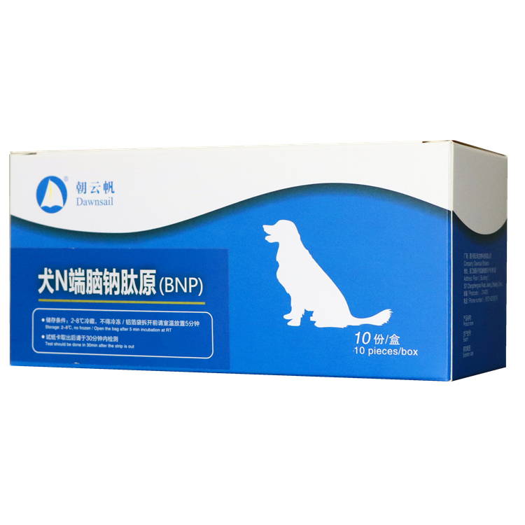 Canine N-terminal proBNP (NT-proBNP) Quantitative Test Kit
