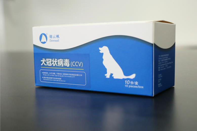 Canine Coronavirus (CCV) Quantitative Test Kit