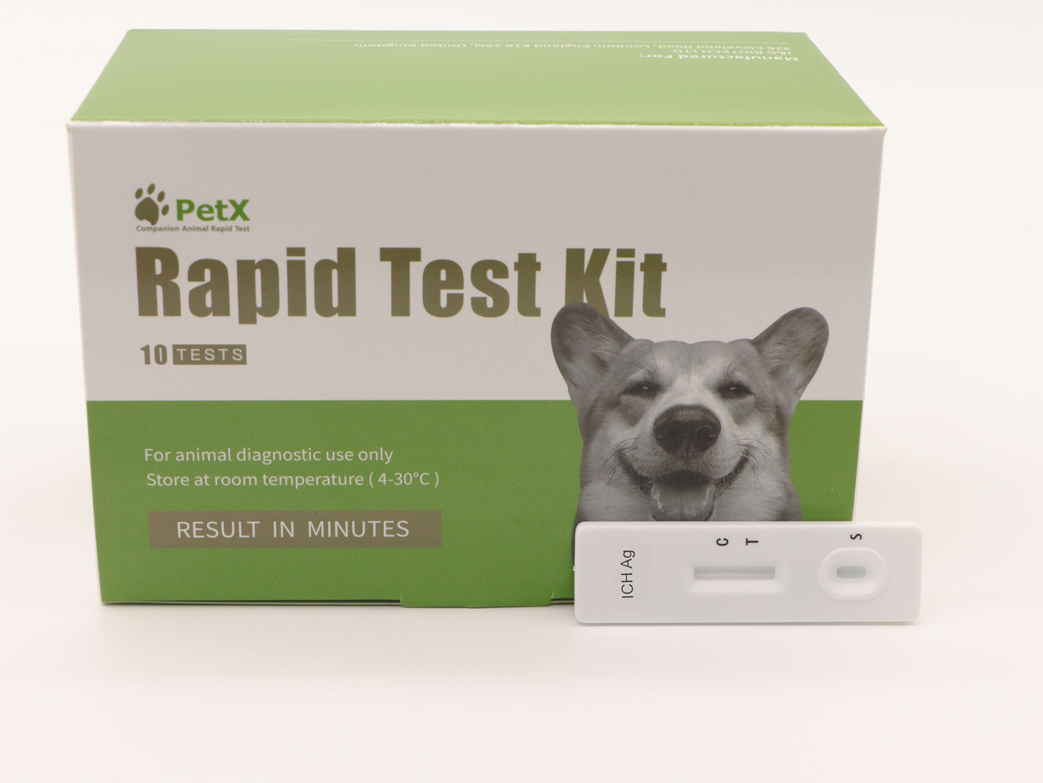 Canine Infectious Hepatitis Antigen Test Kit (ICH Ag)