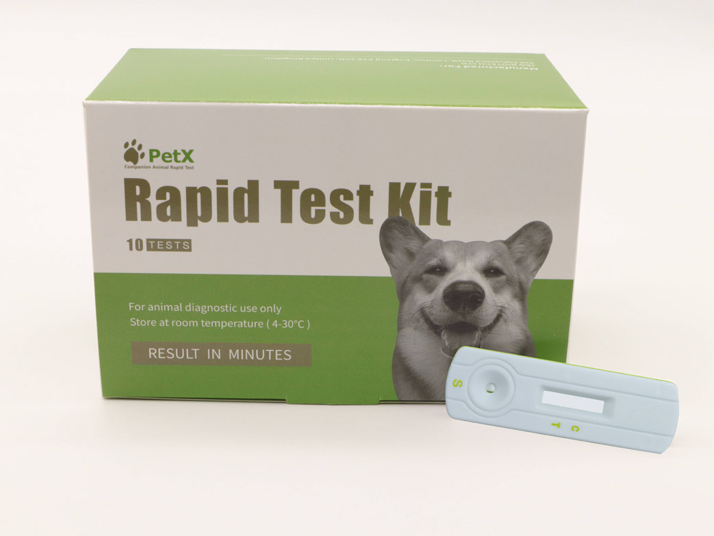 Canine Distemper Virus Antigen Test Kit (CDV Ag)