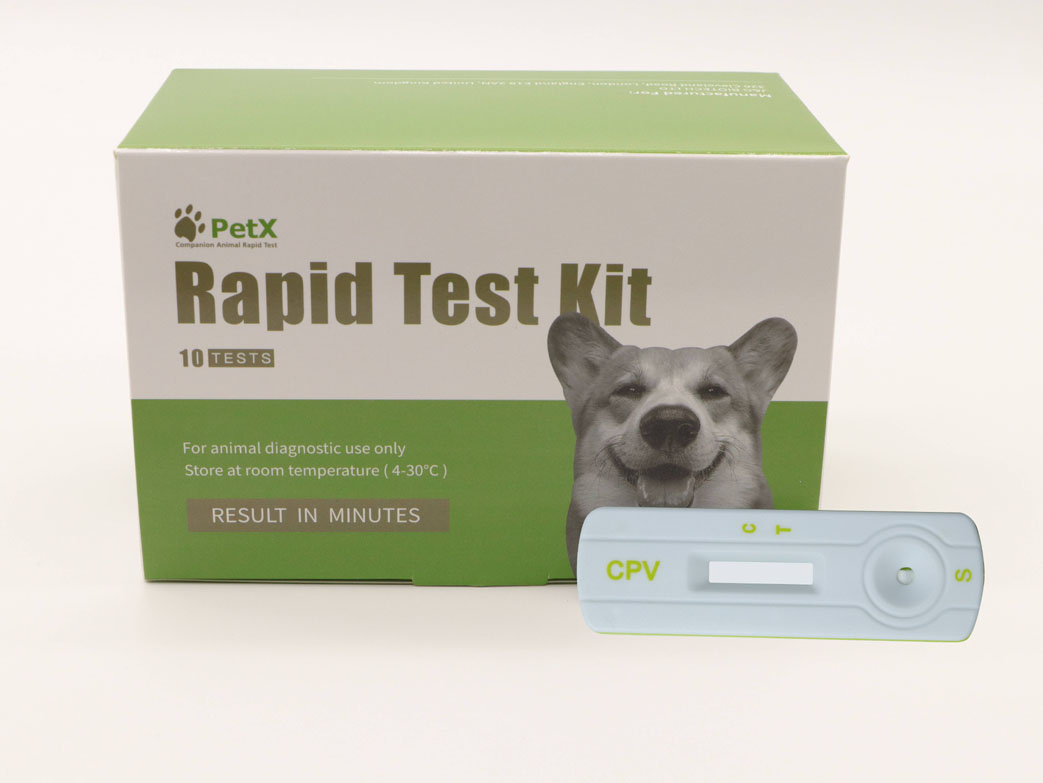 Canine Parvovirus Antigen Test Kit (CPV Ag)
