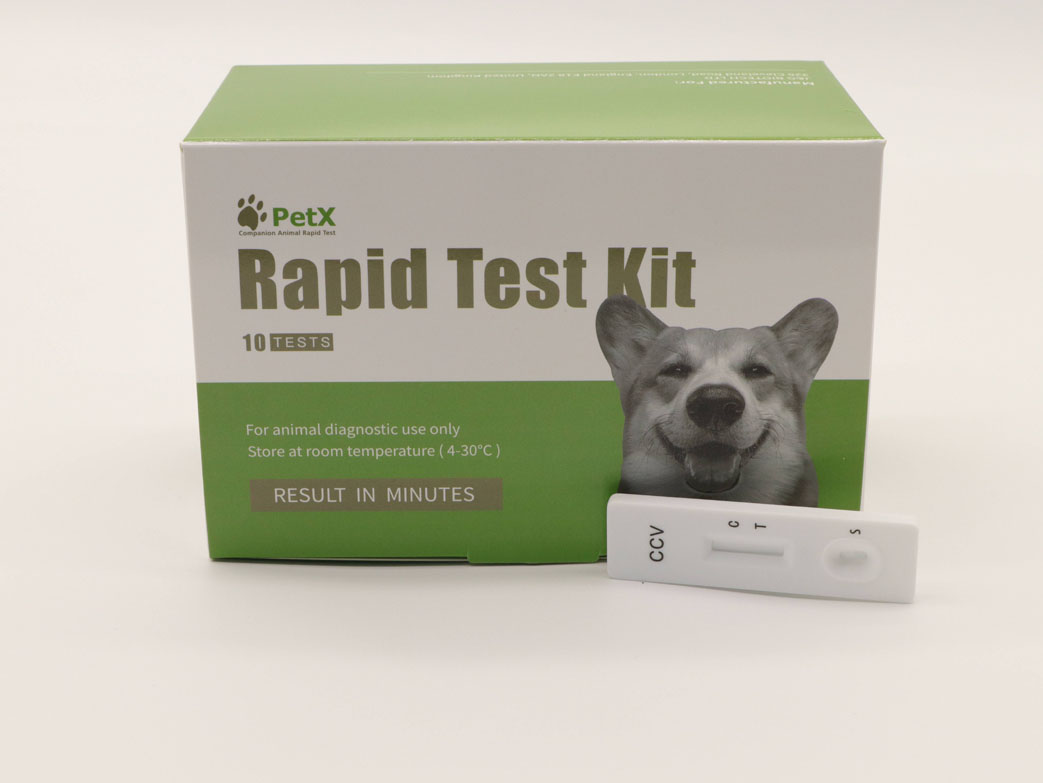 Canine Coronavirus Antigen Test Kit (CCV Ag)