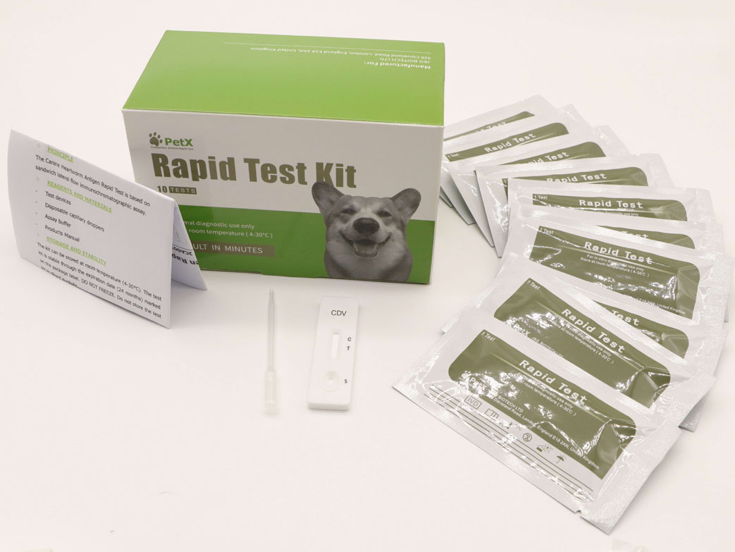 Canine Distemper Virus Antibody Test Kit (CDV Ab)
