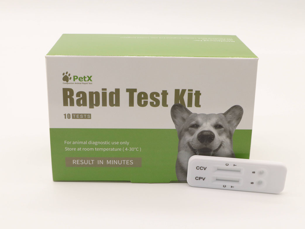 Canine Parvo & Corona Virus Antigen Combo Test Kit (CPV/CCV Ag)