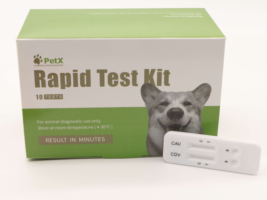 Canine Distemper & Adeno Virus Antigen Combo Test Kit (CDV/CAV Ag)