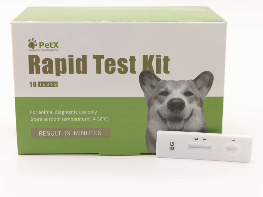 Babesia Gibsoni Antibody Test Kit (BG Ab)