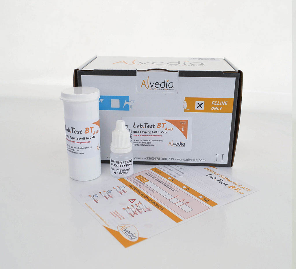 LabTest Kit box Blood Typing - Feline A+B