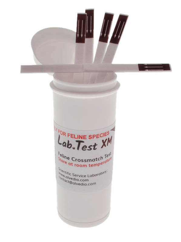 LabTest Kit XM Feline